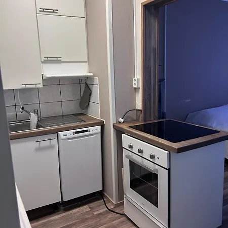 아파트 Idyllinen Yksioe Puu-raksilassa, Maksuton Parkkipaikka *